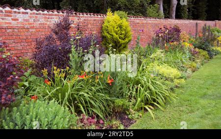 Heißer krautiger Rand von Stauden und Sträuchern im Baumber Walled Garden Stockfoto