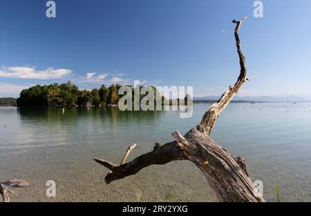 Feldafing, Bayern, Deutschland 28. September 2023: Ein Spätsommertag bei Feldafing Landkreis Starnberg. Hier der Blick vom Feldafinger Park auf den Starnberger See und die bekannte Roseninsel bei Altweibersommer, Sonne, wärme, spazieren, wandern, Tourismus, Schwimmen, baden, AST, Baumstamm *** Feldafing, Bayern, Deutschland 28. September 2023 Ein Spätsommertag in der Nähe von Feldafing Bezirk Starnberg hier der Blick vom Feldafing Park auf den Starnberger See und die berühmte Roseninsel im indischen Sommer, Sonne, Wärme, Wandern, Tourismus, Schwimmen, Baden, Ast, Baumstamm Stockfoto