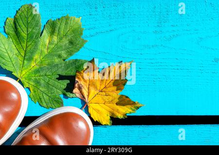 Herbstblätter, Beine und braune Schuhe. Konzeptionelle Herbstkomposition. Füße Schuhe Wandern im Herbstwald. Das Konzept des Laubfalles Stockfoto