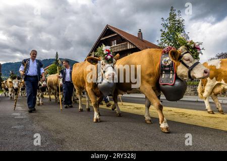 Zwei Hirten tragen traditionelle hölzerne Stäbe und führen eine mit Blumen geschmückte Kuh, die das Jahr „1982“ auf ihrem bestickten Glockenriemen trägt, durch die Dorfstraße von Oberschrot, Gemeinde Plaffeien, Kanton Freiburg, Schweiz. Jedes Jahr im späten September treiben die Hirtenfamilien ihre Herden von den Almen in das Tal zurück, begleitet von einem Dorffest mit Musik und Käseverkauf. Im Jahr 2023 kamen 19 Hirtenfamilien im Viertelstundentakt an. Stockfoto