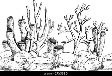 Nahtloser Unterwasserrand mit Algen und Farben. Vektorillustration des Meeresbodens auf isoliertem Hintergrund im Stil der Linienkunst. Zeichnung mit schwarzen Tinten im Stil von Strichzeichnungen. Muster für Banner. Stock Vektor