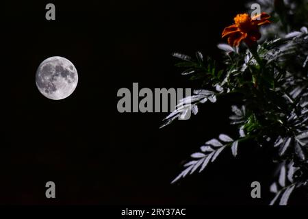 Srinagar, Indien. September 2023 28. Der letzte Supermond, der Erntemond, erhebt sich am Himmel von Srinagar, der Sommerhauptstadt von Jammu und Kaschmir. Der Erntemond findet jeden September statt und richtet sich an der herbstlichen Tagundnachtgleiche aus. Dies ist die Zeit, in der der Äquator der Erde fast direkt mit dem Zentrum der Sonne in Einklang steht, und es wird als der erste Tag des Herbstes betrachtet. (Foto: Saqib Majeed/SOPA Images/SIPA USA) Credit: SIPA USA/Alamy Live News Stockfoto