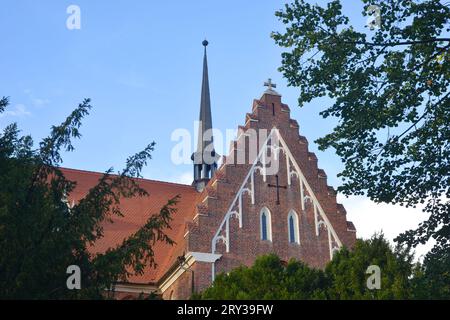 St. Petri Kirche in Woerlitz, Architektur Detail Fassade und kleiner Turm Stockfoto