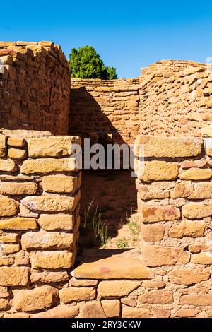Detail von adobe Brick; Far View House; Mesa Verde National Park; Colorado; USA Stockfoto