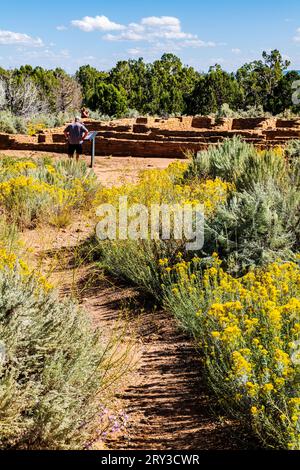 Touristen besuchen das Pipe Shrine House; Far View Site; Mesa Verde National Park; Colorado; USA Stockfoto