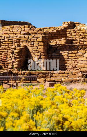 Details zum adobe Brick Far View House; Mesa Verde National Park; Colorado; USA Stockfoto