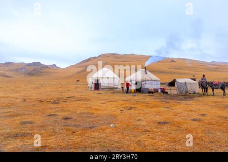 Pferdeherden wandern in der kirgisischen Steppe Stockfoto