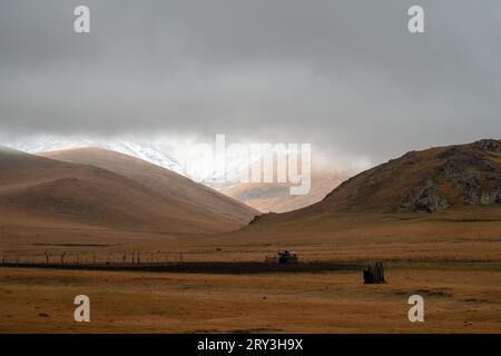 Pferdeherden wandern in der kirgisischen Steppe Stockfoto