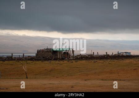 Pferdeherden wandern in der kirgisischen Steppe Stockfoto