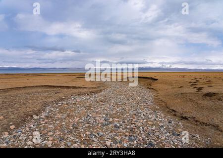 Pferdeherden wandern in der kirgisischen Steppe Stockfoto