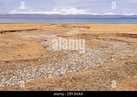 Pferdeherden wandern in der kirgisischen Steppe Stockfoto