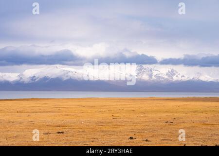 Pferdeherden wandern in der kirgisischen Steppe Stockfoto