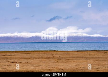 Pferdeherden wandern in der kirgisischen Steppe Stockfoto