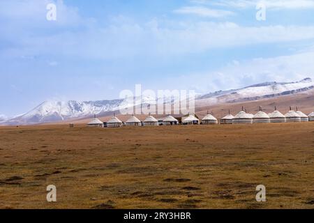 Pferdeherden wandern in der kirgisischen Steppe Stockfoto