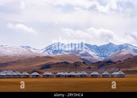 Pferdeherden wandern in der kirgisischen Steppe Stockfoto