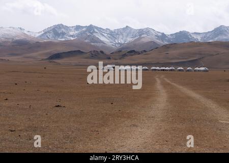 Pferdeherden wandern in der kirgisischen Steppe Stockfoto