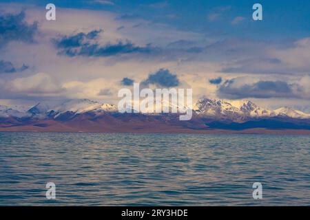 Pferdeherden wandern in der kirgisischen Steppe Stockfoto