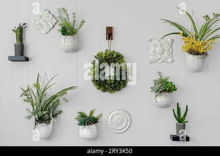 Hängende Pflanzen und Sukkulenten an leerer Wand mit minimalem Dekor und Ornamenten Stockfoto
