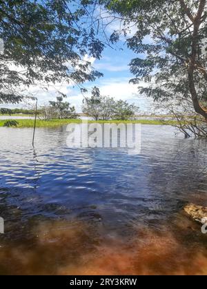 Blick auf den Amazonasfluss und traditionelles Haus im brasilianischen Regenwald, Amazonasfluss Stockfoto