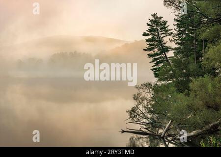 Nebeliger Morgen am Red House Lake, Allegany State Park, Cattaraugus County, New York Stockfoto