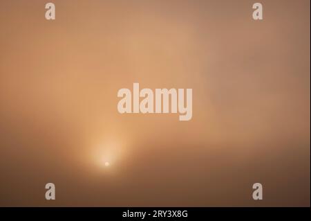 Lake Cassidy Sonnenaufgang im Nebel mit Sonne reflektiert von stillem Wasser, Washington State, USA Stockfoto
