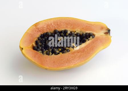 Pawpaw (Carica papaya), Melonenbaumfamilie, Caricaceae Stockfoto