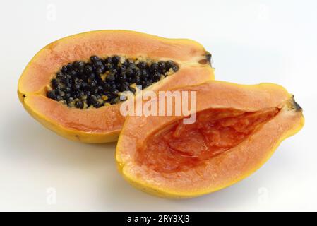 Pawpaw (Carica papaya), Melonenbaumfamilie, Caricaceae Stockfoto