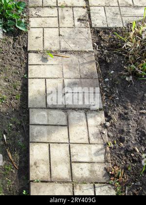 Pfad aus Pflasterplatten im Hinterhof der Hütte. Cottage, Garten, ländlich. Stockfoto