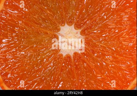 Orangenfrucht (Citrus aurantium sinensis), Nahaufnahme Stockfoto