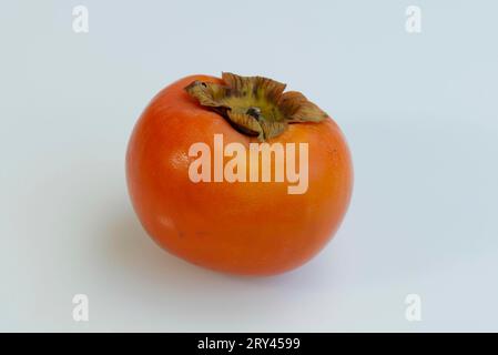 Japanisches Persimmon (Diospyros kaki) Frucht, Kakifrucht, Kakipflaume, Kakifeige, Fruechte, Obst, Pflanzen, Pflanzen, Ebenholzgewaechse, Ebenaceae Stockfoto