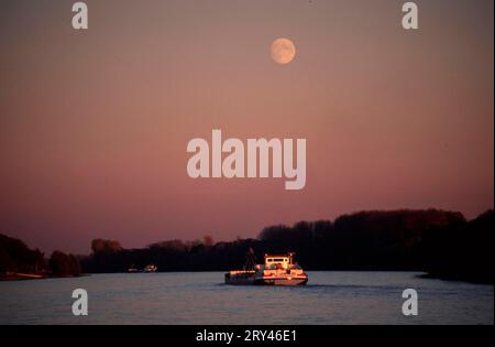 Schiff auf dem Rhein, in der Abenddämmerung, Hattenheim, Rheingau, Hessen, Deutschland Stockfoto