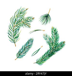 Set von Tannenzweigen in Aquarellfarben, isoliert auf weiß. Sammlung von Weihnachtsbaumzweigen und -Blättern in Aquarellfarben für Neujahrsgrüßkarten und Dekor Stockfoto