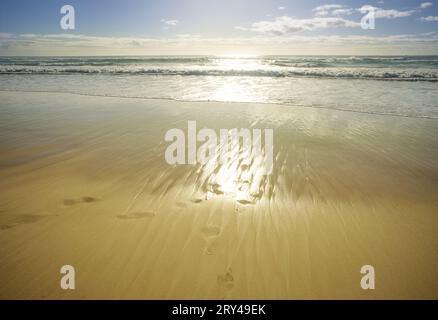 Goldenes Leuchten auf dem nassen Sand, während die Sonne am frühen Morgen über dem Meer aufgeht. Leerer Hintergrund mit Kopierraum-Konzept für Urlaub, Urlaub, Verzauberung Stockfoto