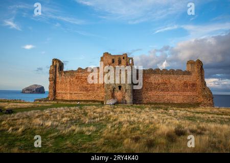 Tantallon Castle und Bass Rock, Firth of Forth, East Lothian, Schottland Stockfoto