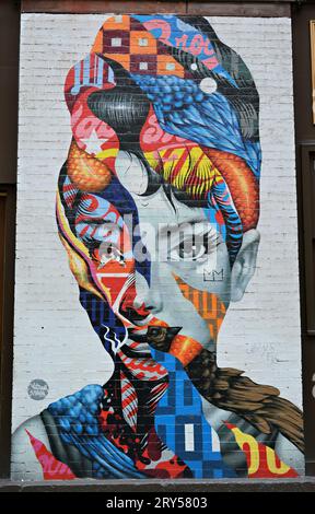 Audrey Hepburn Wandgemälde von Tristan Eaton im Viertel Little Italy, Manhattan, New York, USA Stockfoto