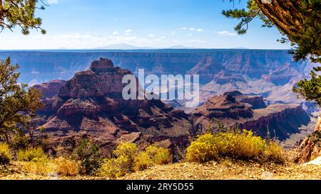 Blick auf den Walhalla Overlook auf der Cape Royal Road am Nordrand des Grand Canyon National Park, Arizona, USA Stockfoto