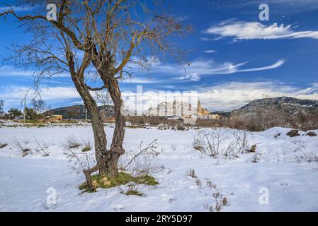 Schneebedecktes Dorf Peñarroya de Tastavins im Winter (Matarraña, Teruel, Aragon, Spanien) ESP: Pueblo de Peñarroya de Tastavins nevado en invierno (Teruel) Stockfoto