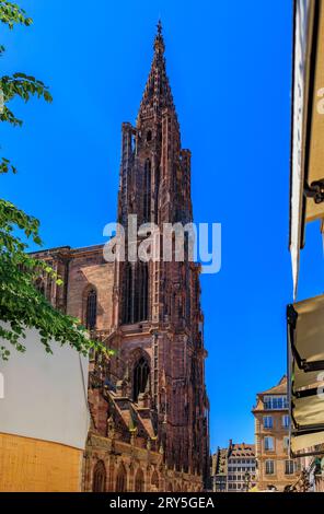 Fassade und Turm der Kathedrale Notre Dame und kunstvolle traditionelle Fachwerkhäuser mit steilen Dächern umgeben sie in Straßburg, Elsass, Frankreich Stockfoto