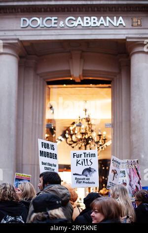 Tierschutzproteste gegen Pelze vor Dolce & Gabana London 30. November 2013 Stockfoto