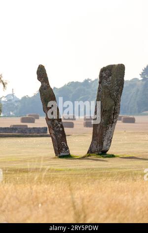 Die beeindruckenden Steine von Lundin Links, die in der Mitte eines Golfplatzes, Fife Scotland, stehen. Stockfoto