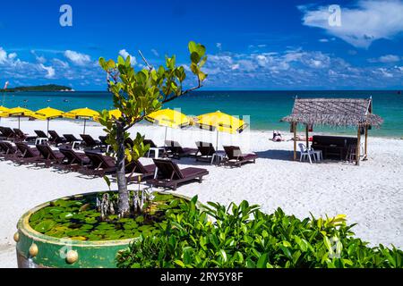 Sonnenliegen, Sonnenschirme, Bambus-Strandbar und Restaurant am Chaweng Beach, Ko Samui, Thailand Stockfoto