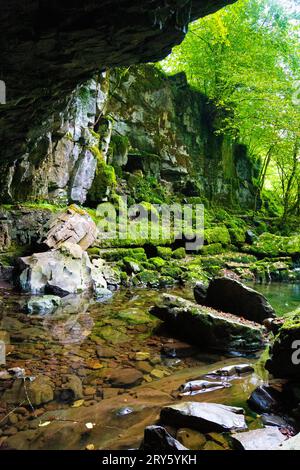 Porth Yr Ogof Cave am Mellte River, Brecon Beacons National Park, Wales, Vereinigtes Königreich Stockfoto