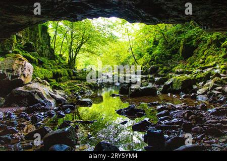 Porth Yr Ogof Cave am Mellte River, Brecon Beacons National Park, Wales, Vereinigtes Königreich Stockfoto