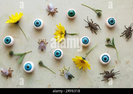 halloween-Muster mit Insekten, Augäpfeln und wilden Sonnenblumen auf hellem Hintergrund Stockfoto