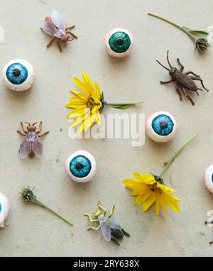 halloween-Muster mit Insekten, Augäpfeln und wilden Sonnenblumen auf hellem Hintergrund Stockfoto