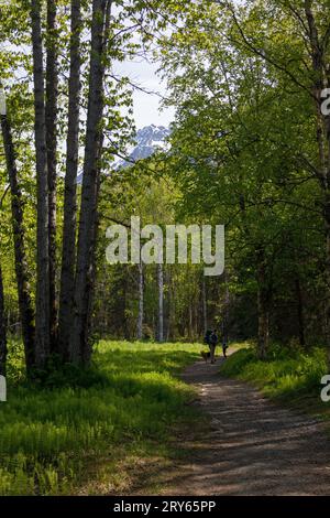 Vater, Kind und Hund auf gewundenen Wanderwegen in den Bergen Stockfoto