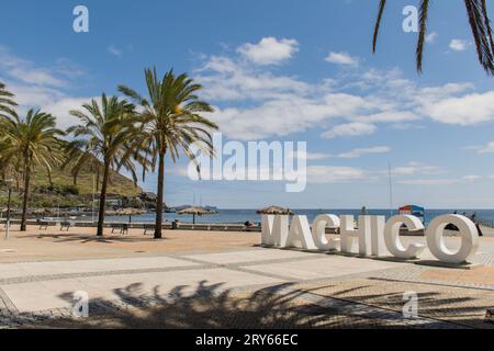 Palmen am Strand Stockfoto