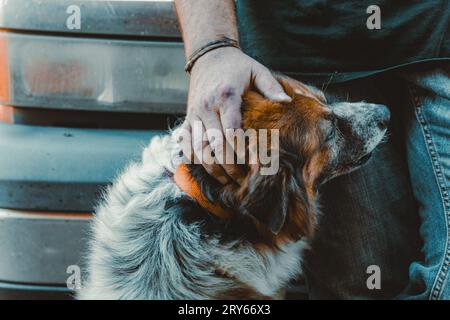 Mechaniker, der Hund streichelt, während er sich auf den Arbeitswagen lehnt Stockfoto