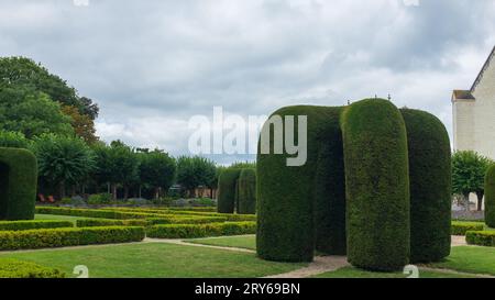 Angers, Frankreich, 2023. Die Parterres und topiären Häfen wurden kunstvoll im formellen Garten des château d'Angers angelegt Stockfoto