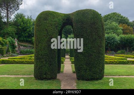 Angers, Frankreich, 2023. Blick durch die topiären Strukturen in den Gärten, die vor der Unterkunft des Gouverneurs im Château d'Angers liegen Stockfoto